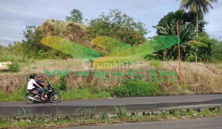 DIJUAL CEPAT TANAH MENARIK DAN STRATEGIS DAERAH PAAL DUA, HARGA SANGAT MURAH 1