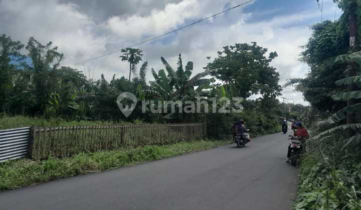 For Quick Sale Beautiful and Attractive Land in Tondano Area, Very Cheap Price For Quick Sale Beautiful and Attractive Land in Tondano Area, Very Cheap Price