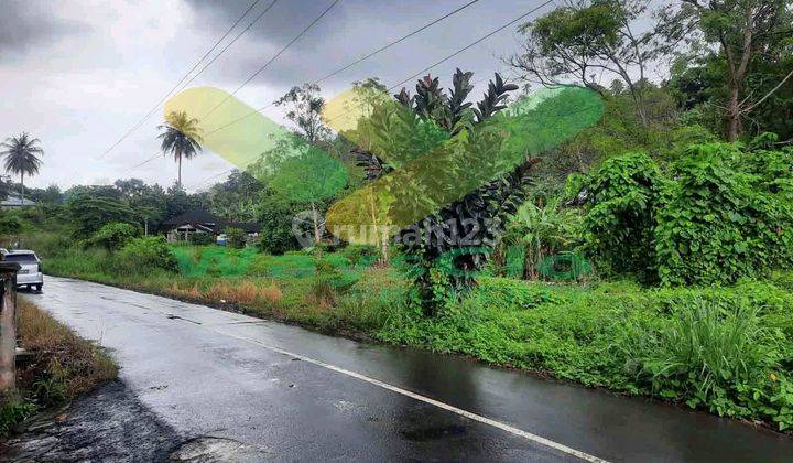 Dijual Cepat Tanah Cantik Dan Menarik Daerah Kalasey, Harga Sangat Murah 1