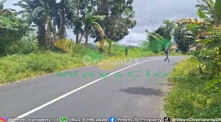 Dijual Cepat Tanah Sangat Strategis Daerah Wanea, Harga Sangat Murah 1
