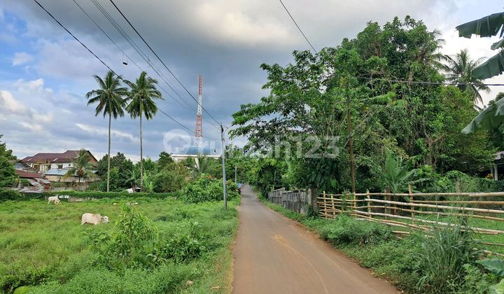 Dijual Cepat Tanah Cantik dan Menarik Daerah Pineleng, Harga Sangat Murah Dijual Cepat Tanah Cantik dan Menarik Daerah Pineleng, Harga Sangat Murah