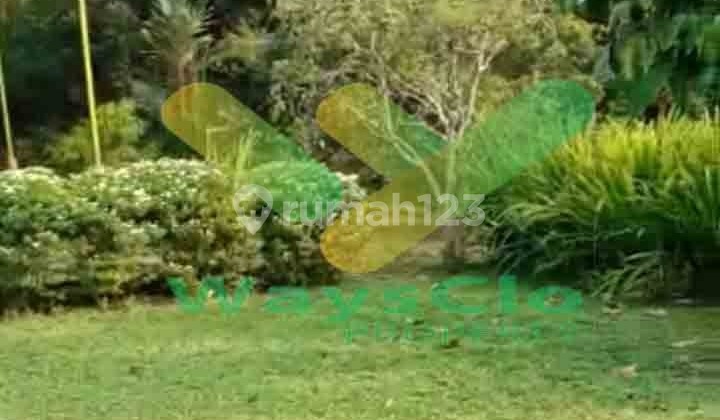 Quick Sale: Beautiful and Attractive Land in Mapanget Area, Very Affordable Price. Quick Sale: Beautiful and Attractive Land in Mapanget Area, Very Affordable Price.