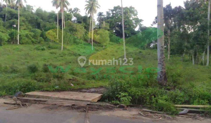 Dijual Cepat Tanah Perkebunan Menarik Daerah Kalawat, Harga Sangat Murah 1