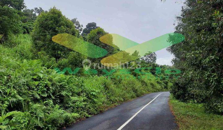 DIJUAL CEPAT TANAH CANTIK DAN MENARIK DAERAH LEMBEAN, HARGA SANGAT MURAH 2