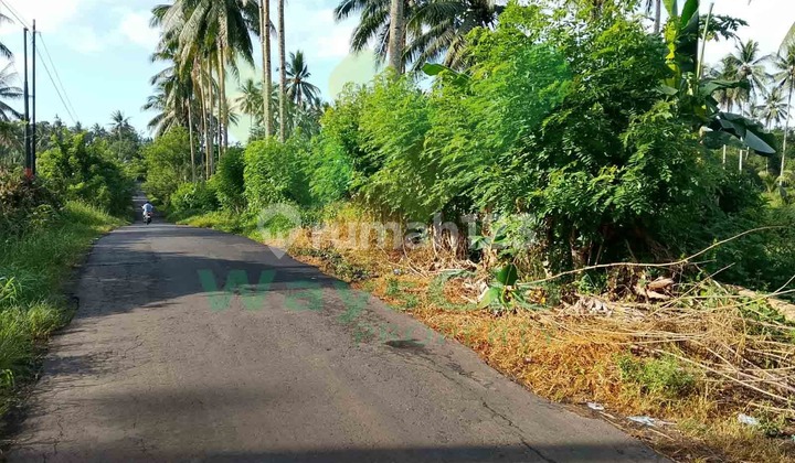 Dijual Cepat Tanah Cantik Dan Menarik Daerah Wori, Harga Sangat Murah Dijual Cepat Tanah Cantik Dan Menarik Daerah Wori, Harga Sangat Murah