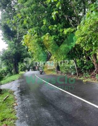 For Sale Fast, Beautiful and Strategic Land in Tuminting Area, Very Affordable Price