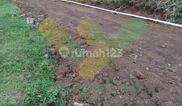 Dijual Cepat Tanah Perkebunan Menarik Daerah Tomohon, Harga Sangat Murah