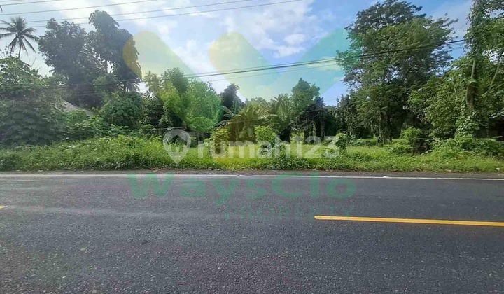 Dijual Cepat Tanah Menarik Dan Strategis Daerah Tateli, Harga Sangat Murah Dijual Cepat Tanah Menarik Dan Strategis Daerah Tateli, Harga Sangat Murah