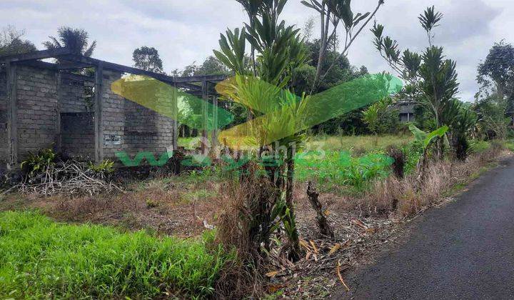 DIJUAL CEPAT TANAH CANTIK DAN MENARIK DAERAH TOMOHON, HARGA SANGAT MURAH 1