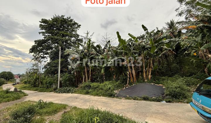 Dijual Cepat Tanah Cantik dan Menarik Daerah Bitung, Harga Sangat Murah Dijual Cepat Tanah Cantik dan Menarik Daerah Bitung, Harga Sangat Murah