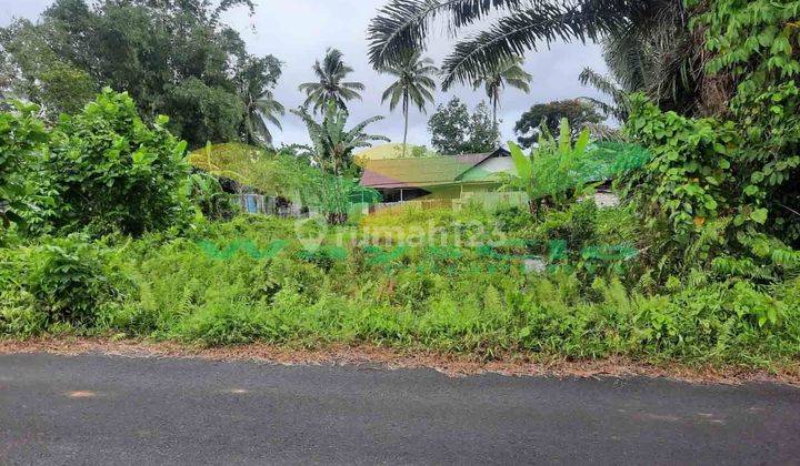 DIJUAL CEPAT TANAH CANTIK DAN MENARIK DAERAH TOMOHON, HARGA SANGAT MURAH 1