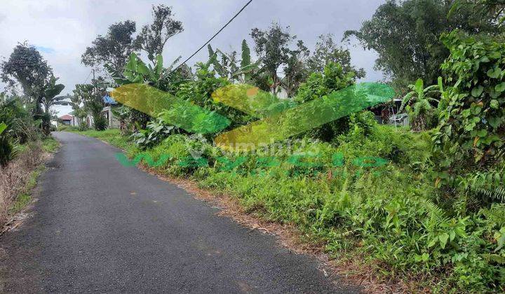 DIJUAL CEPAT TANAH CANTIK DAN MENARIK DAERAH TOMOHON, HARGA SANGAT MURAH 2