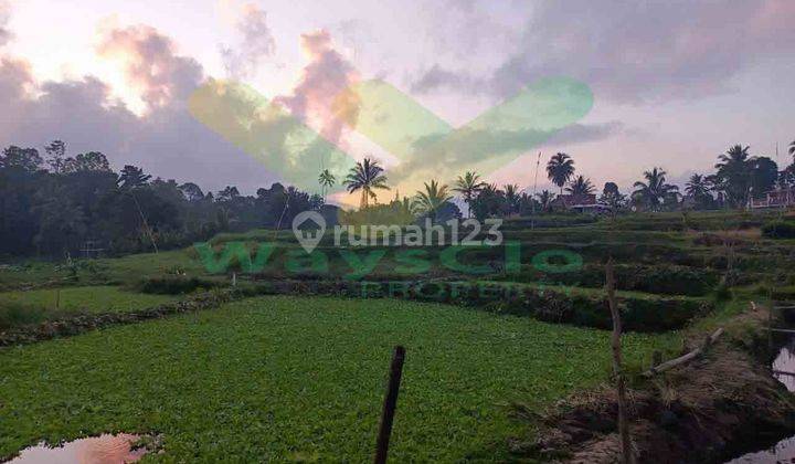 Dijual Cepat Tanah Cantik Dan Menarik Daerah Tomohon, Harga Sangat Murah 2