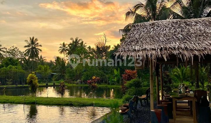 Dijual Cepat Tanah Telaga Cantik Daerah Matungkas, Harga Sangat Murah