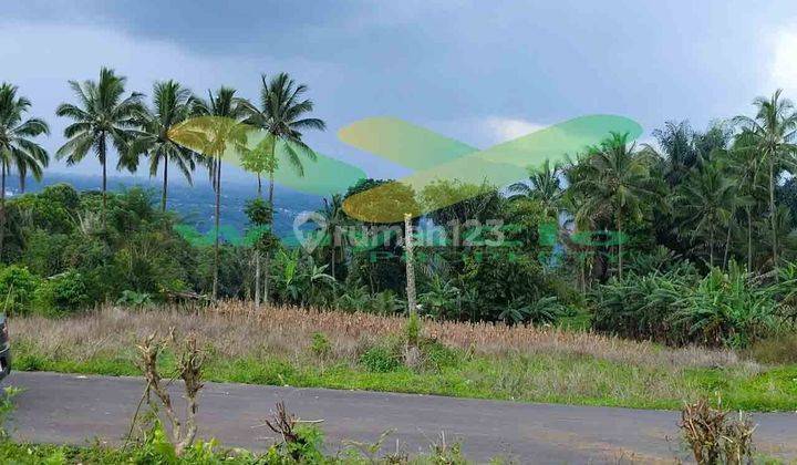 DIJUAL CEPAT TANAH CANTIK DAN MENARIK DAERAH TOMOHON, HARGA SANGAT MURAH 2