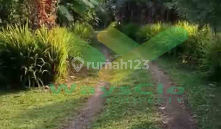 Quick Sale: Beautiful and Attractive Land in Mapanget Area, Very Affordable Price. Quick Sale: Beautiful and Attractive Land in Mapanget Area, Very Affordable Price.