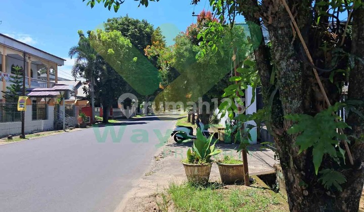 For Quick Sale: Beautiful and Strategic House in Paal Dua Area, Very Cheap Price For Quick Sale: Beautiful and Strategic House in Paal Dua Area, Very Cheap Price