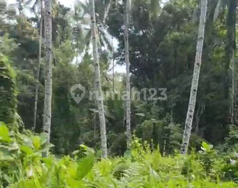 Dijual Cepat Tanah Menarik Daerah Citraland, Harga Sangat Murah Dijual Cepat Tanah Menarik Daerah Citraland, Harga Sangat Murah