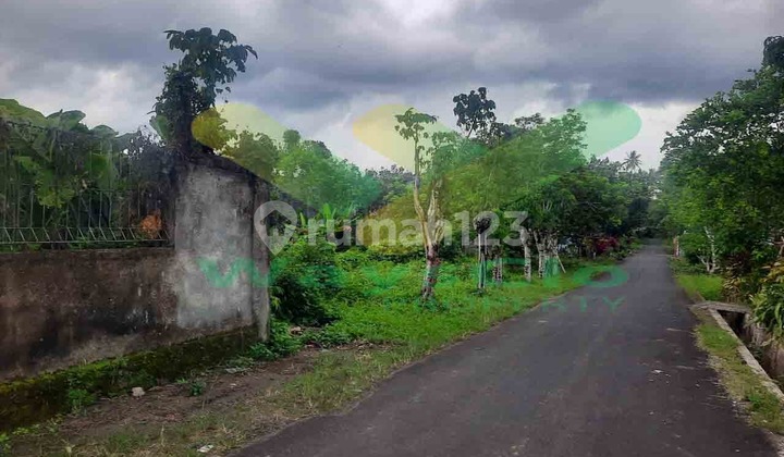 For Sale Fast, Beautiful and Attractive Land in Mapanget Consolidation Area, Very Low Price For Sale Fast, Beautiful and Attractive Land in Mapanget Consolidation Area, Very Low Price