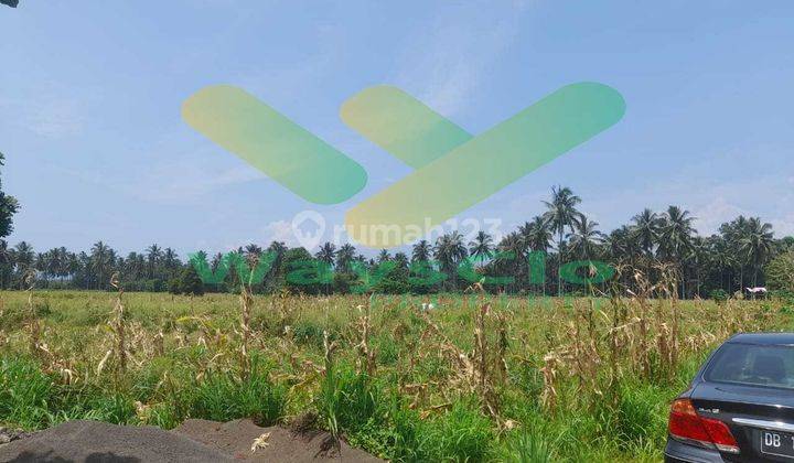 Dijual Cepat Tanah Cantik Dan Menarik Daerah Kauditan, Harga Sangat Murah 2