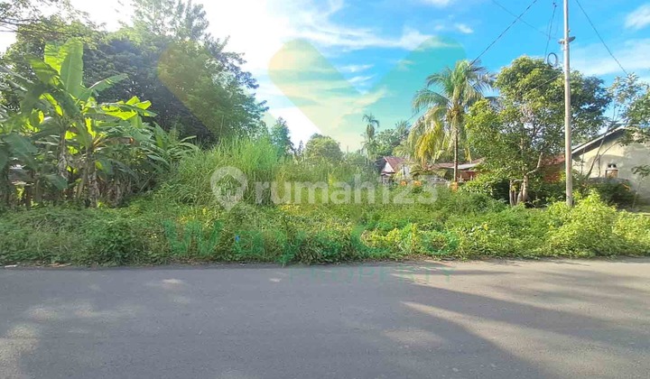 Dijual Cepat Tanah Cantik Dan Strategis Daerah Maumbi, Harga Sangat Murah