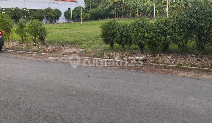 TANAH LOKASI SUPER STRATEGIS DI SEDATI AGUNG 2 COCOK UNTUK PERUMAHAN MAUPUN INVESTASI TANAH LOKASI SUPER STRATEGIS DI SEDATI AGUNG 2 COCOK UNTUK PERUMAHAN MAUPUN INVESTASI