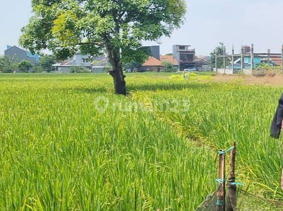 Tanah Murah Lokasi Strategis SHM 1