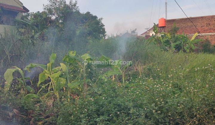 Tanah Lokasi Strategis Pilang Sentrayasa, Cirebon 1