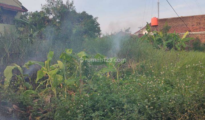 Tanah Lokasi Strategis Pilang Sentrayasa, Cirebon 2