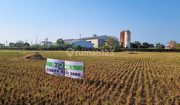 Tanah murah Dijual Cepat Tanah Zona Industri Lokasi Strategis 1