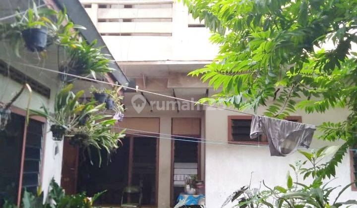 Rumah Plus Sarang Burung Wallet di Jatiwangi Majalengka 1