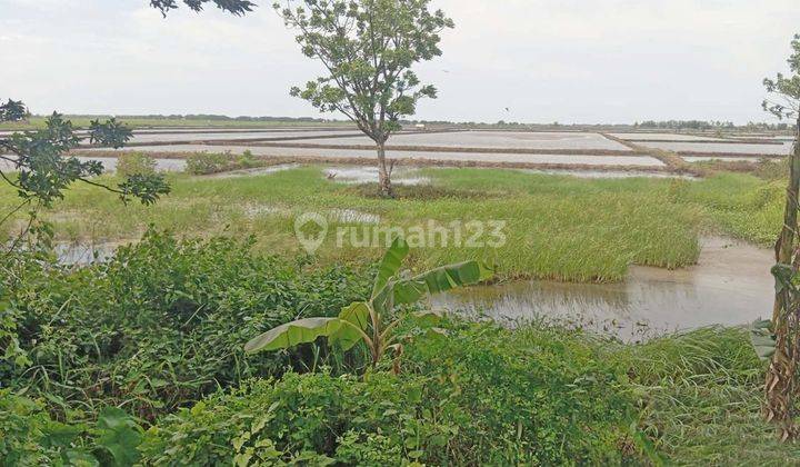 Tanah 30 Hektar di Gebang Cirebon Timur 1