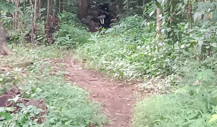 Village Roadside Land Wanayasa Beber Cirebon