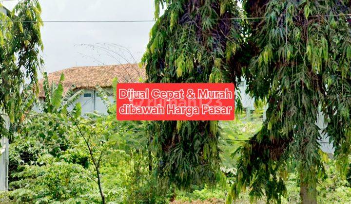 Tanah Di Jual Cepat di Bawah Harga Pasar Dekat Kampus 2