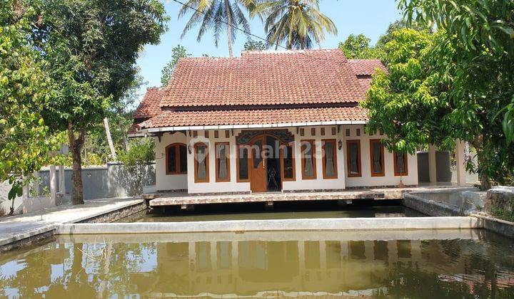 Dijual Rumah Dengan Halaman Luas Dan Ada Kolam Ikan Siap Huni 1