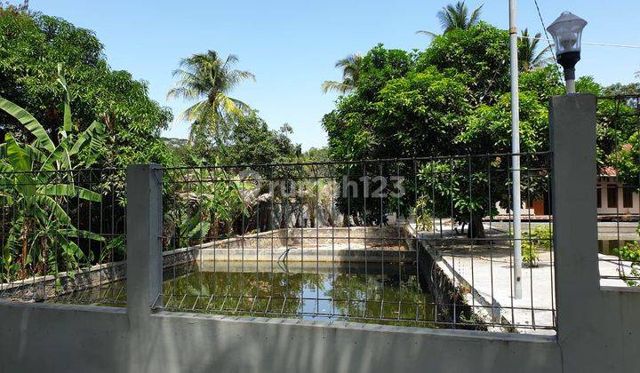 Dijual Rumah Dengan Halaman Luas Dan Ada Kolam Ikan Siap Huni 2