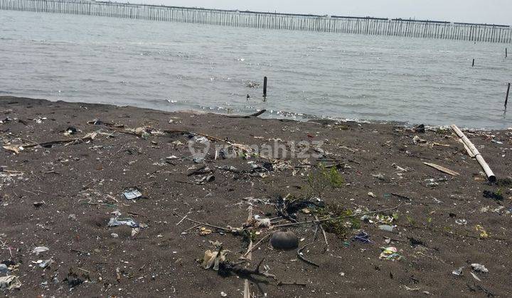 Kavling tanah di Tanjung Burung, Teluk Naga, Tangerang, Banten 1