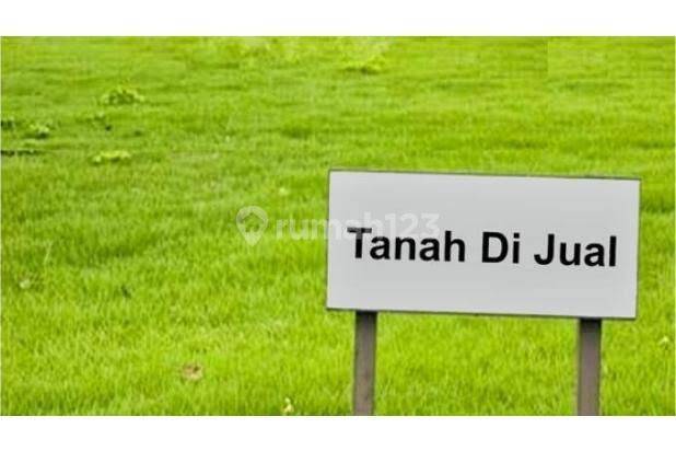 Ca1785 Dijual Jarang Ada Tanah di Kutisari Harga Dibawah Pasaran 1