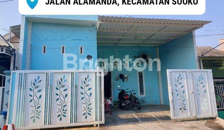 Alamanda pondok teratai Sooko mojokerto 1