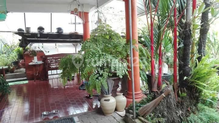 Rumah Dijual Tanah Luas Di Tanah Kusir Bendi Rumah Dijual Tanah Luas Di Tanah Kusir Bendi