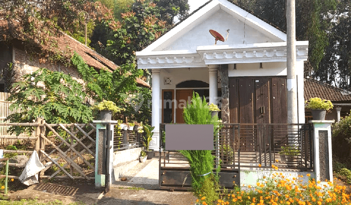 Rumah Sekaligus Tanah Dijual Cocok Untuk Yang Mau Invest Jual Murah Aja @Malang! 2