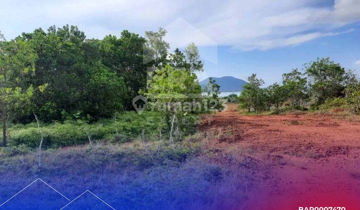 Dijual Cepat Tanah di Bintan Dengan View Laut dan Gunung Bintan, Jalan Aspal dekat Bukit Perkemahan Tembeling 1