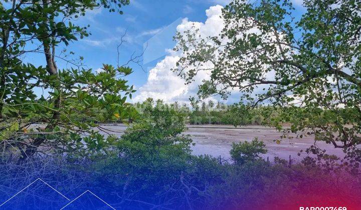 Dijual Cepat Tanah di Bintan Dengan View Pulau Ketir dan Gunung Bintan, Cocok Untuk Ekowisata 1