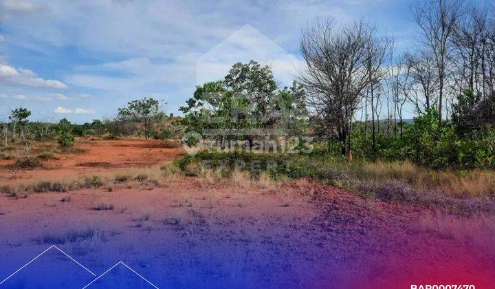 Dijual Cepat Tanah di Bintan Dengan View Laut dan Gunung Bintan, Jalan Aspal dekat Bukit Perkemahan Tembeling 2