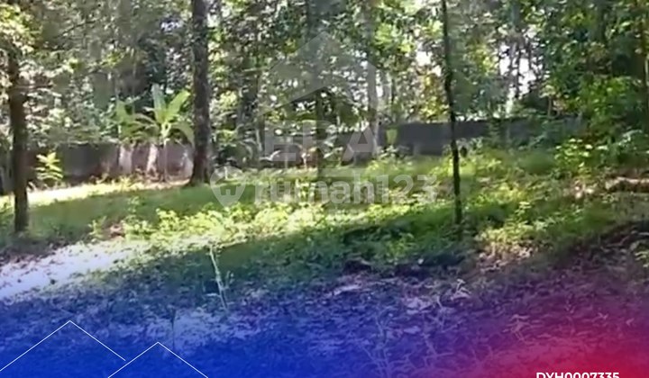 Dijual Tanah Kavling Luas 1500m2, Ada Kebun Durian @Pasir Angin, Bogor