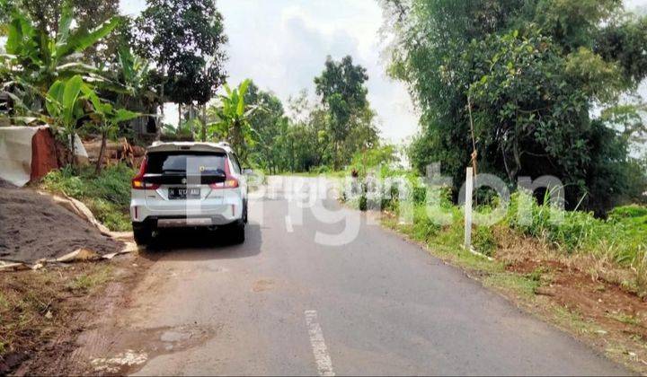 Gratis Pohon Durian Siap Panen! Lahan Luas Murah Trawas 2