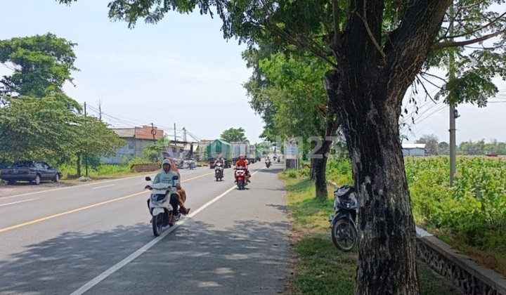 Provincial Road Paiton Probolinggo Zero Land Highly Suitable for All Businesses Such as Trade and Factory