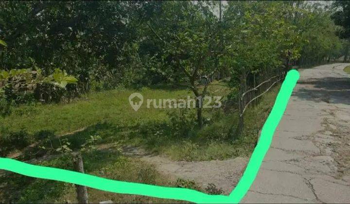 Dijual Tanah Pinggir Jalan Jegang Poj Suka Bungah, Bojong Manggu, Bekasi Kabupaten 2