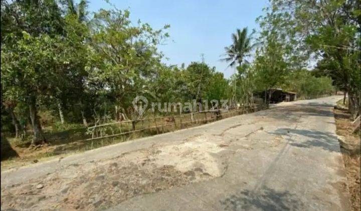 Dijual Tanah Pinggir Jalan Jegang Poj Suka Bungah, Bojong Manggu, Bekasi Kabupaten 1