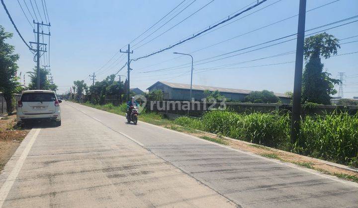 Tanah di Sumput Driyorejo Akses Strategis Dekat Citraland 2